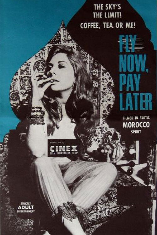 Fly Now, Pay Later poster