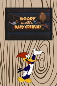 Woody Meets Davy Crewcut poster