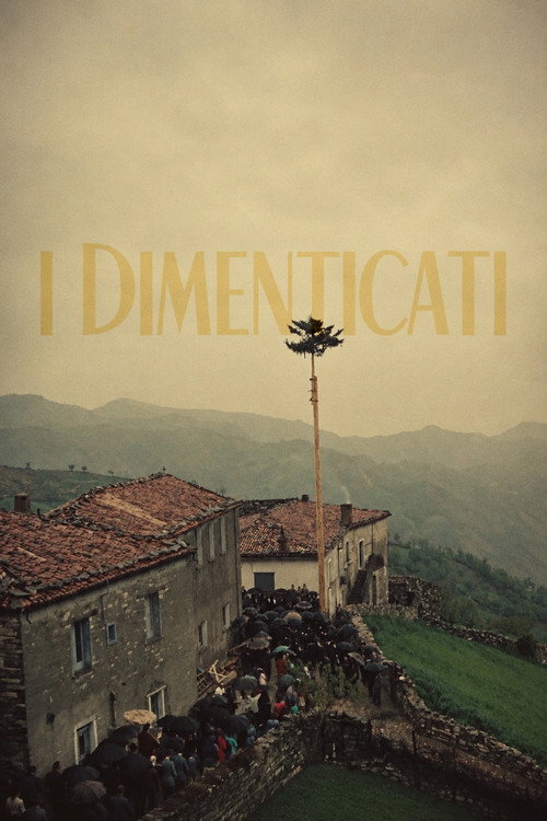 The Forgotten poster