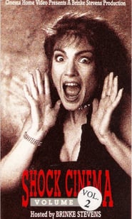 Shock Cinema: Volume Two poster
