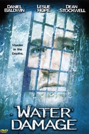 Water Damage poster