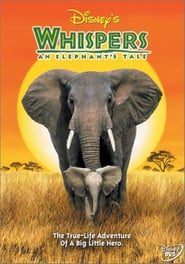 Whispers: An Elephant's Tale poster