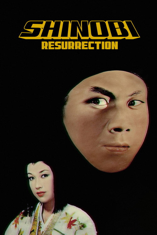 Shinobi no Mono 3: Resurrection poster