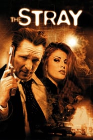 The Stray poster