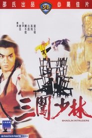 Shaolin Intruders poster
