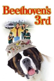Beethoven's 3rd poster