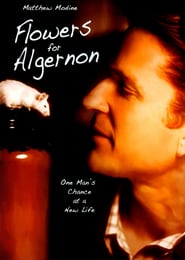 Flowers for Algernon poster