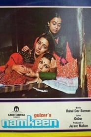 Namkeen poster