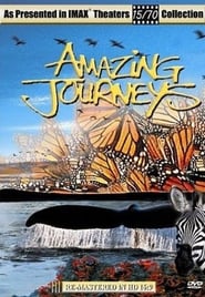 Amazing Journeys poster
