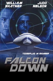 Falcon Down poster