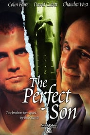 The Perfect Son poster