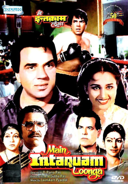 Main Inteqam Loonga poster