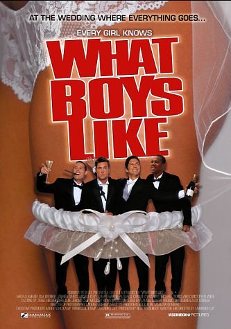 What Boys Like poster
