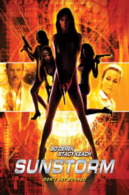Sunstorm poster