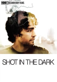 Shot In The Dark poster