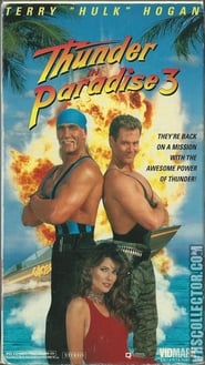 Thunder in Paradise 3 poster