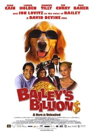 Bailey's Billion$ poster