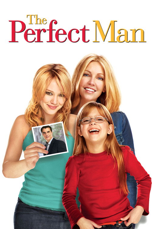 The Perfect Man poster