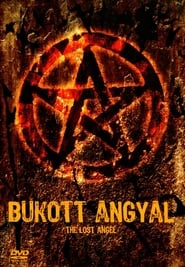 The Lost Angel poster