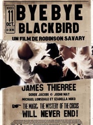 Bye Bye Blackbird poster