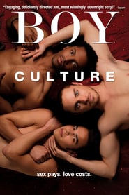 Boy Culture poster