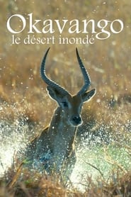 The Kalahari: The Flooded Desert poster