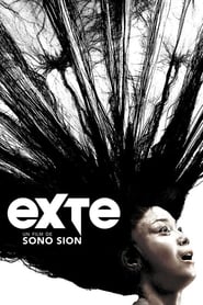 Exte: Hair Extensions poster