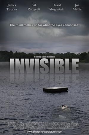 Invisible poster