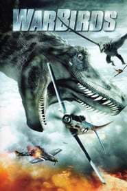 Warbirds poster