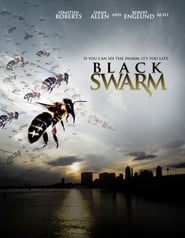 Black Swarm poster