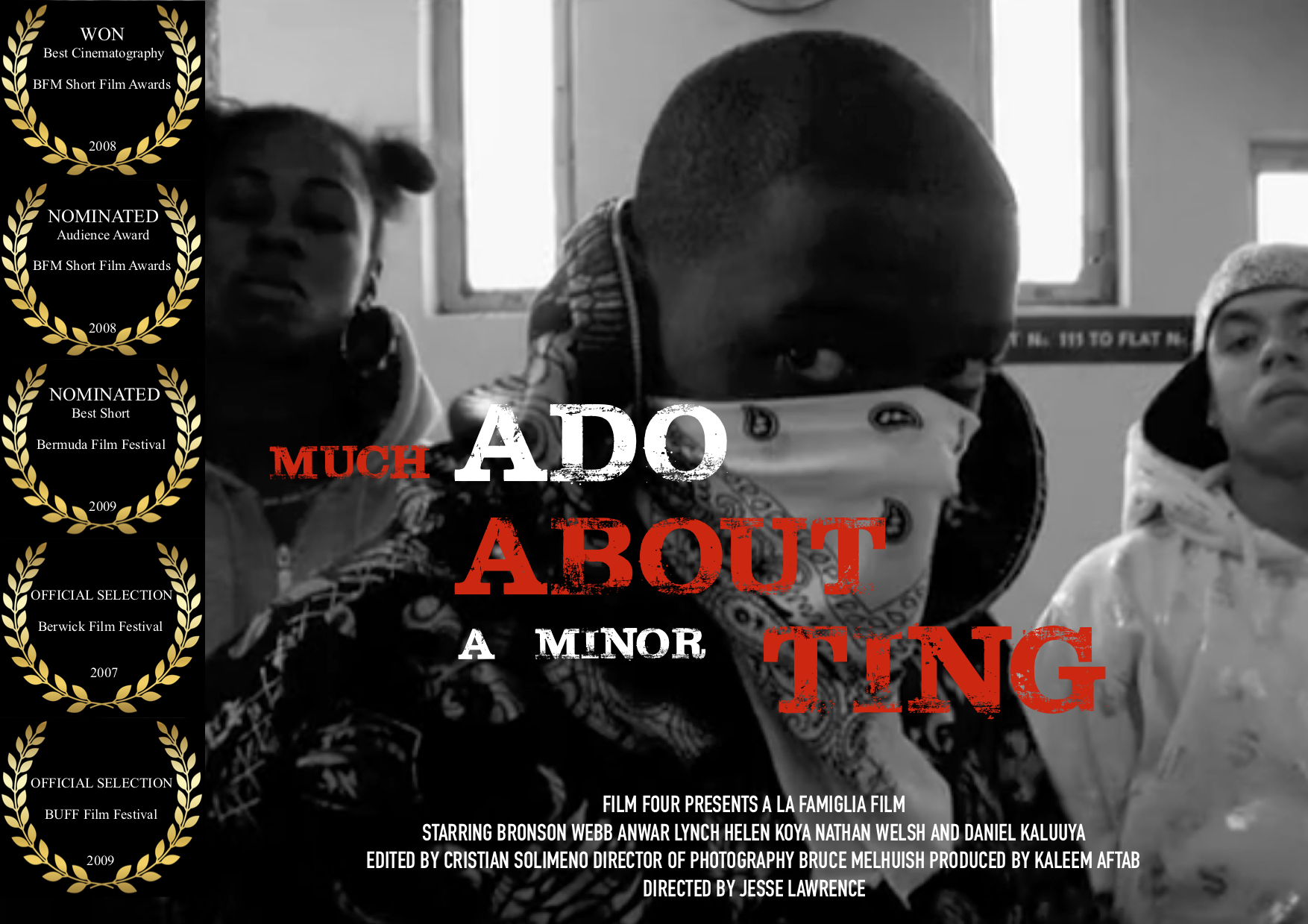 Much Ado About a Minor Ting poster