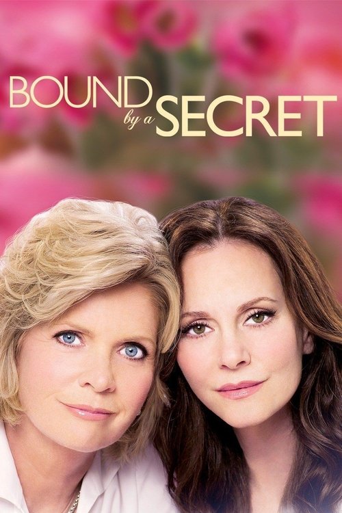 The Secret Life of the Hospital poster