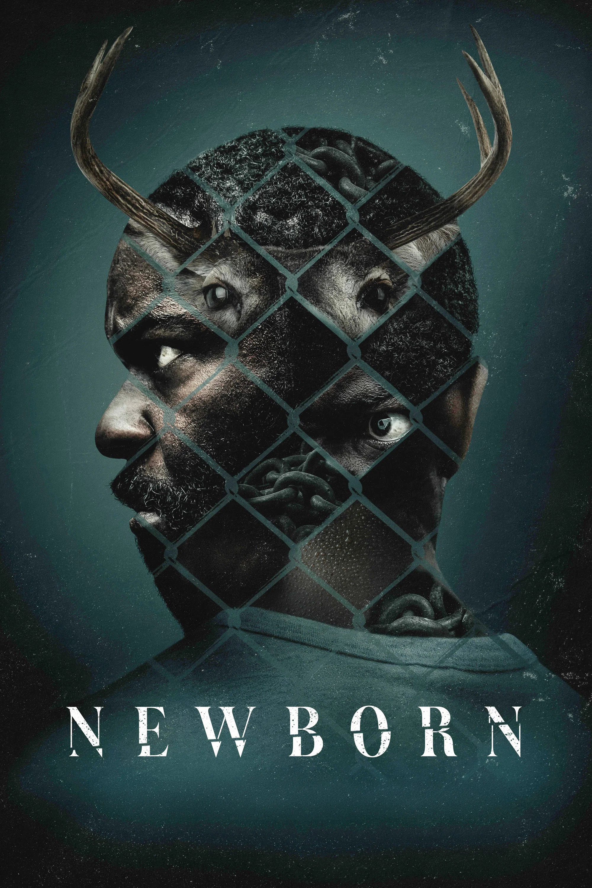 Newborn poster