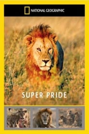 Superpride poster