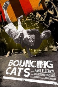 Bouncing Cats poster