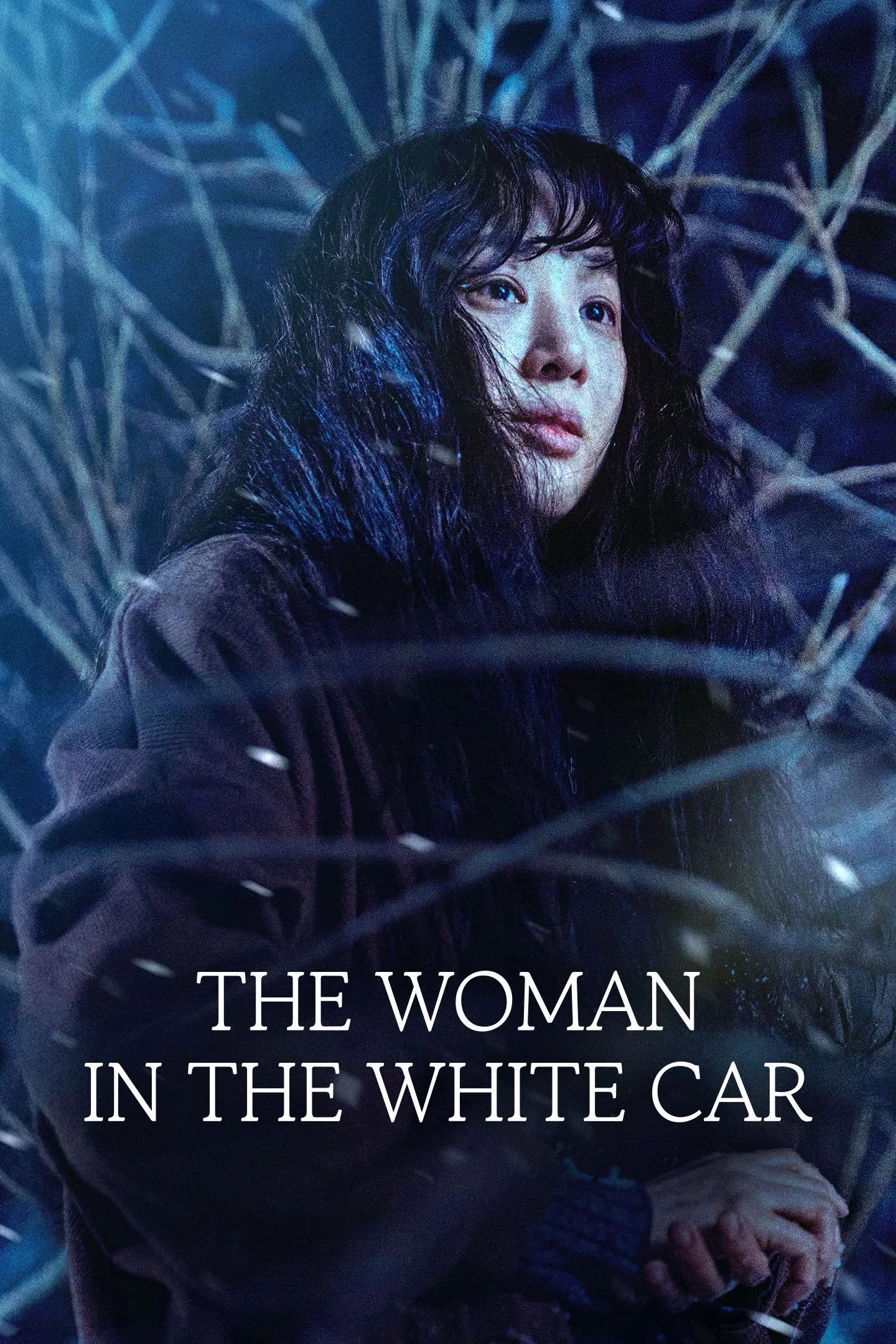 The Woman in the White Car poster