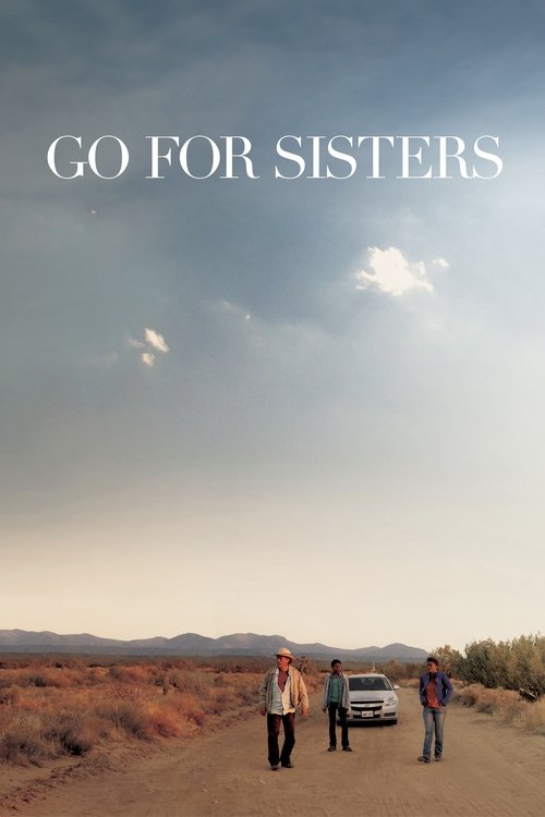 Go for Sisters poster