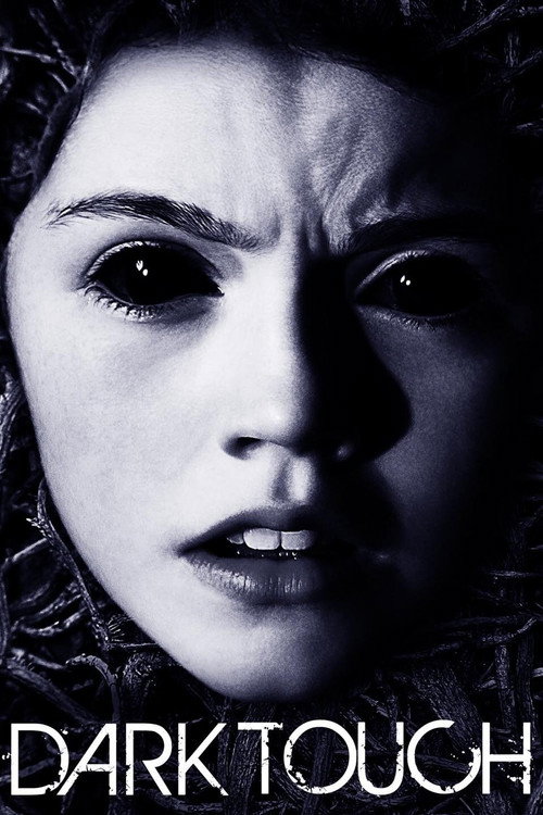 Dark Touch poster