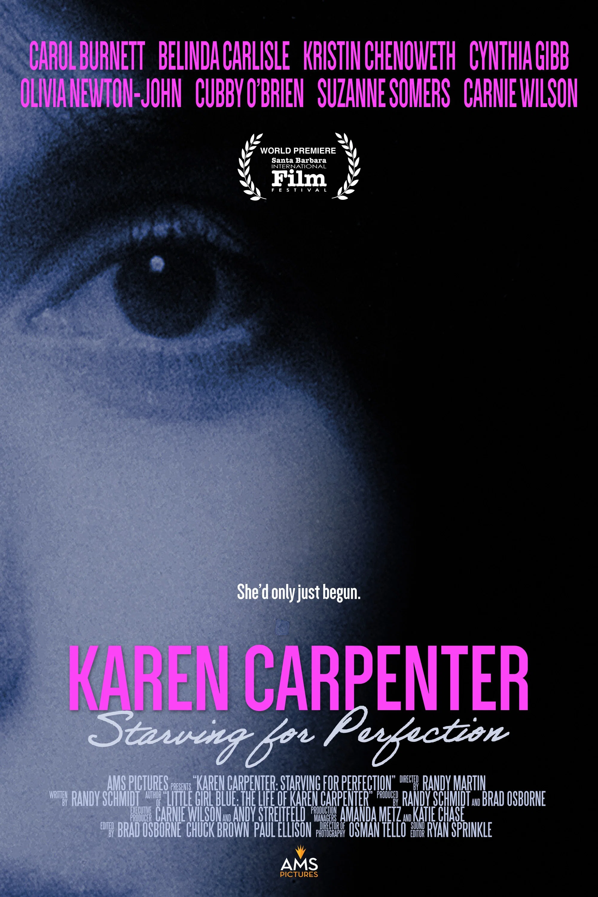 Karen Carpenter: Starving for Perfection poster