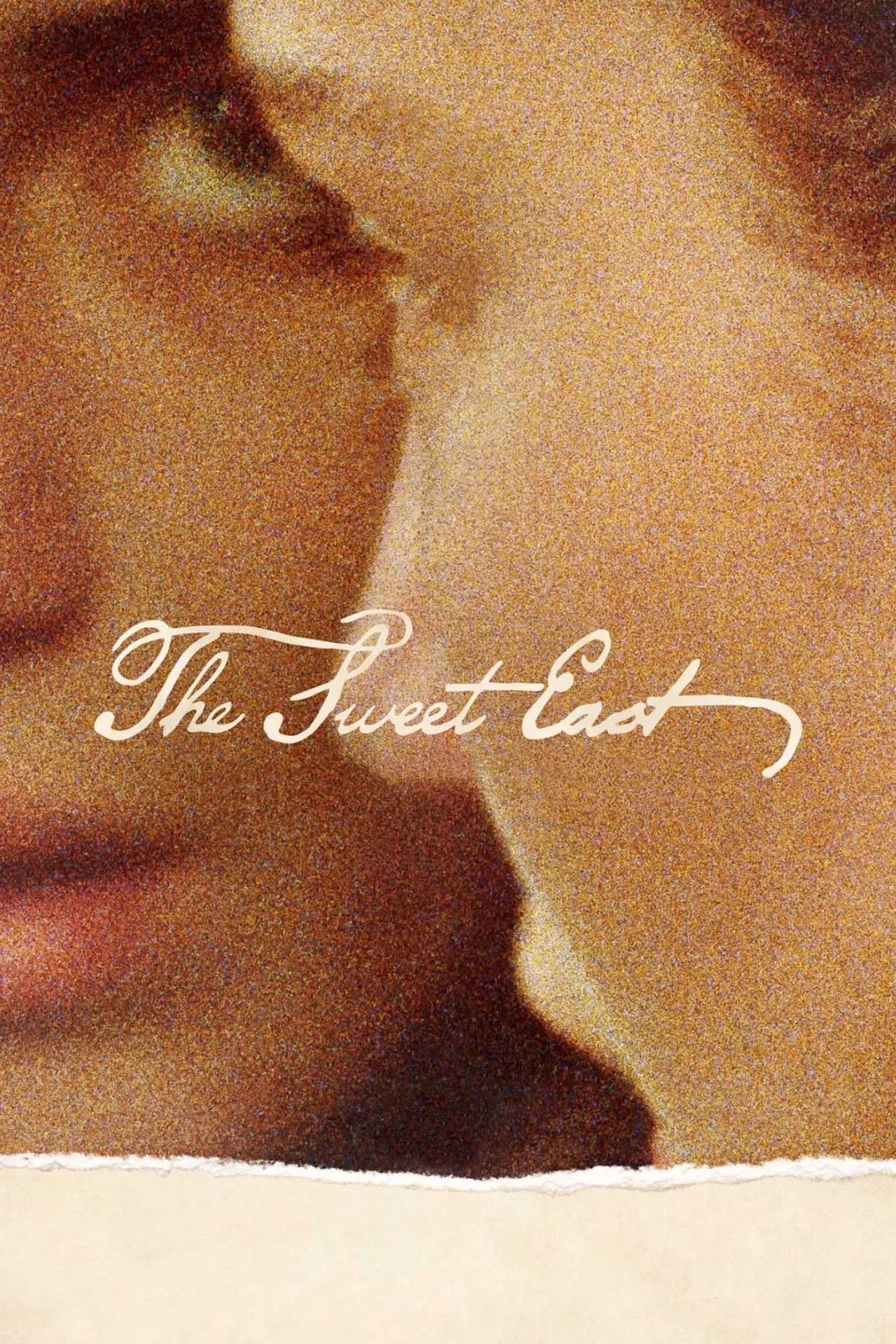 The Sweet East poster