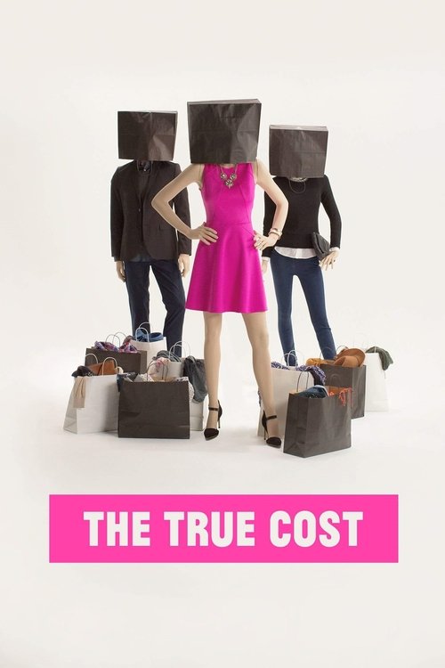 The True Cost poster
