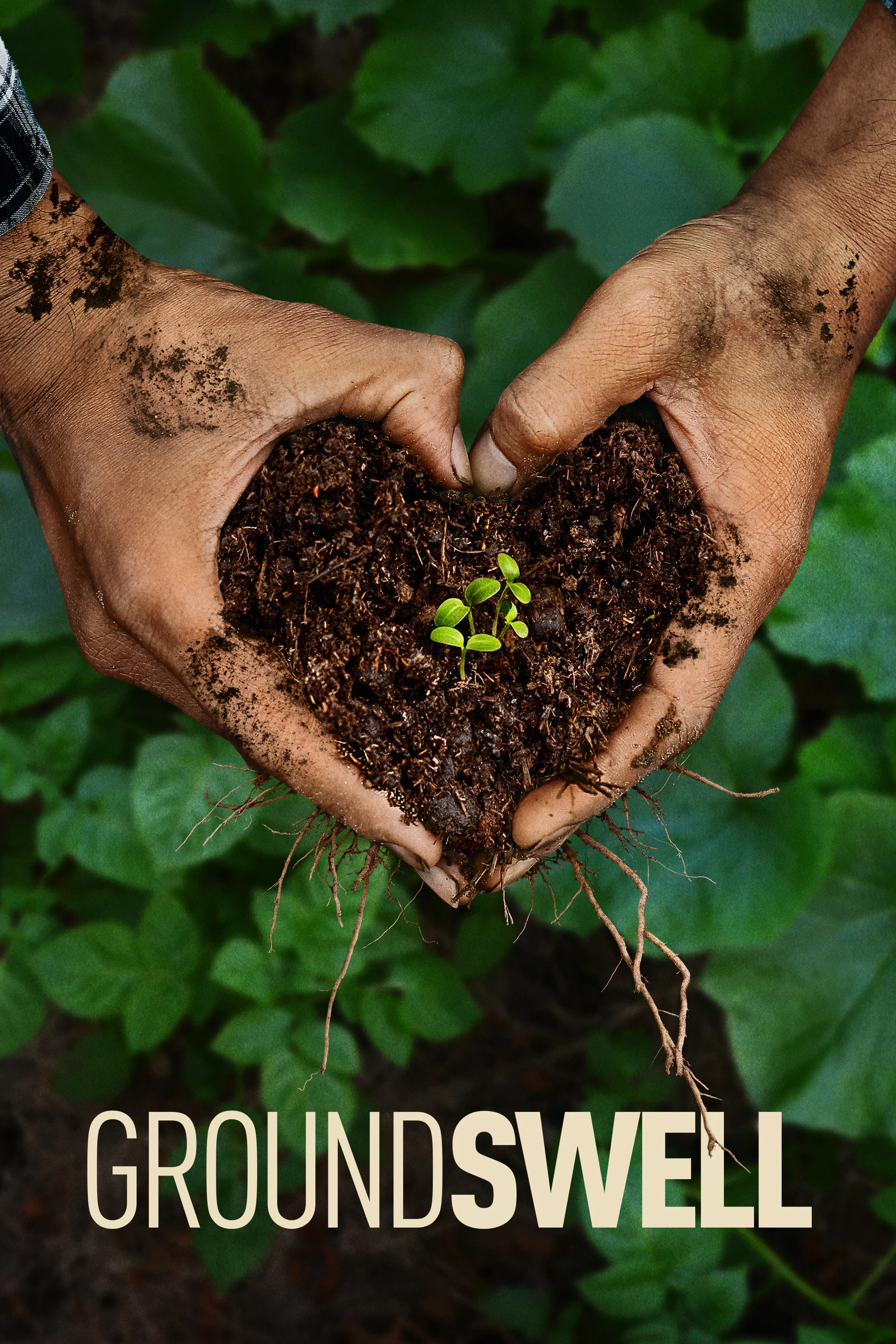 Groundswell poster