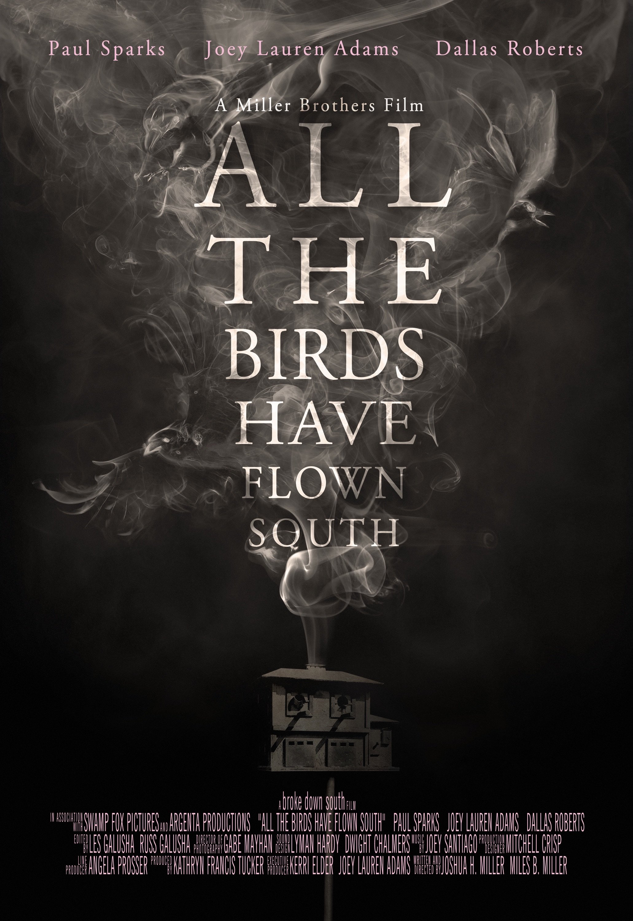 All the Birds Have Flown South poster