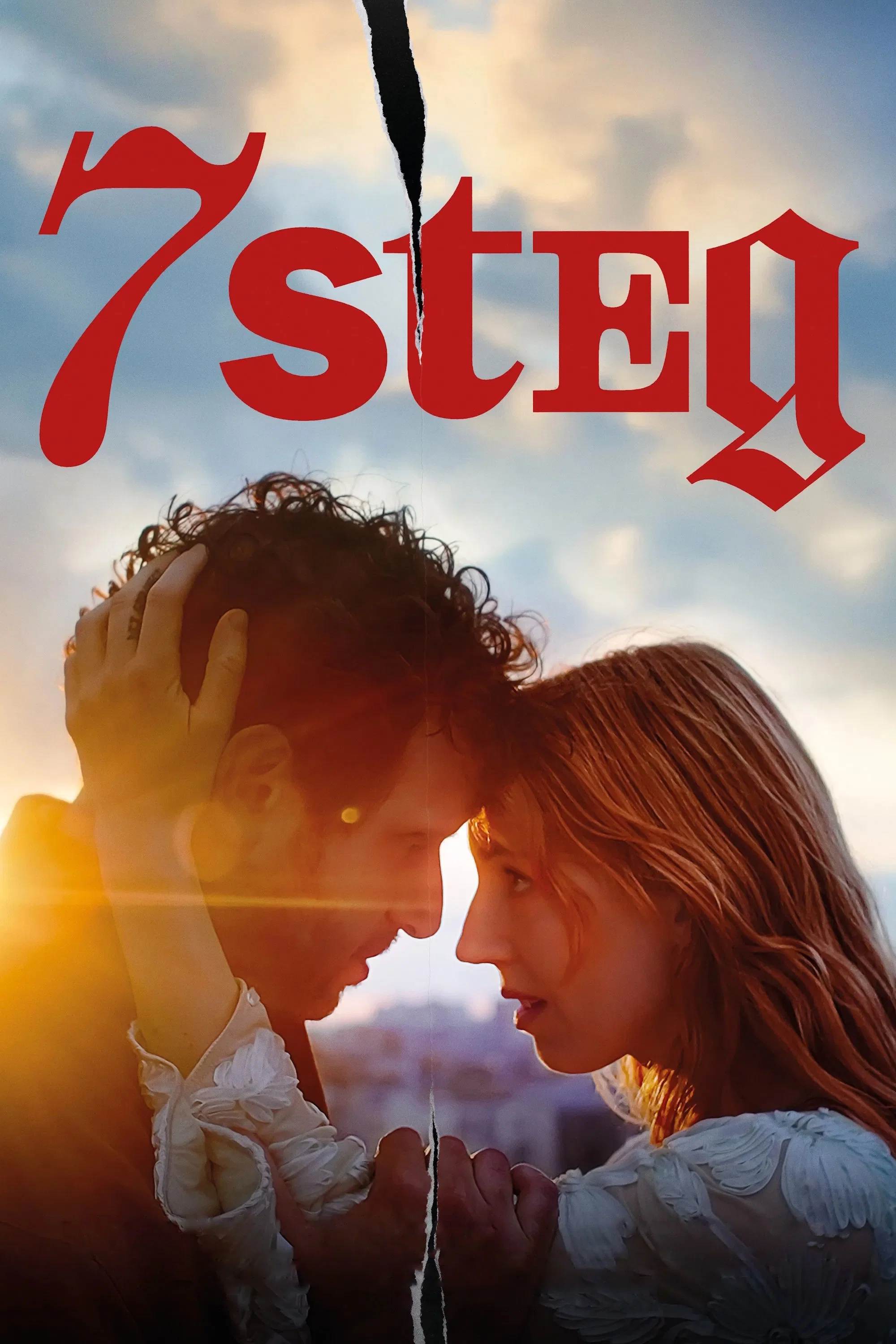 7 steg poster