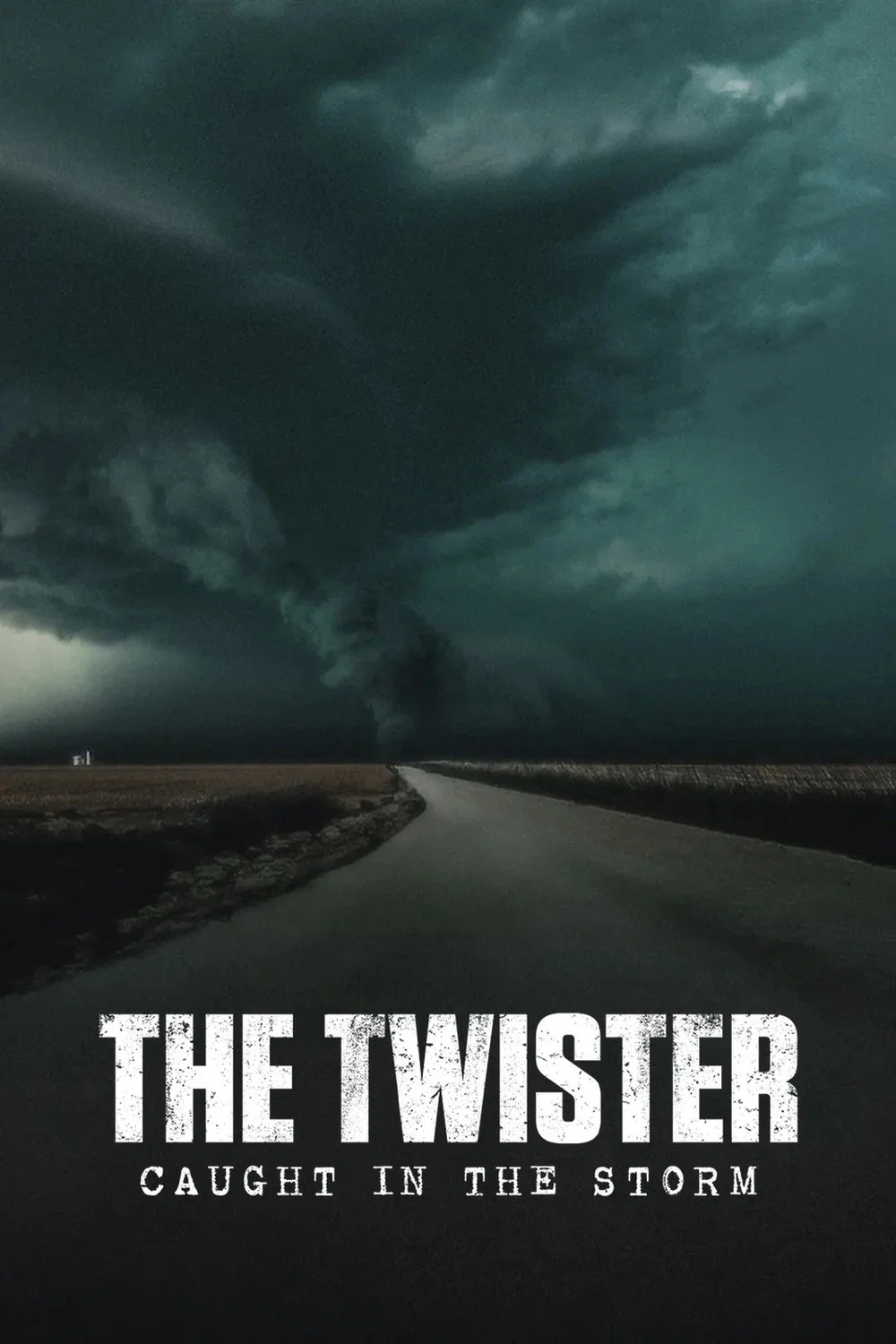 The Twister: Caught in the Storm poster
