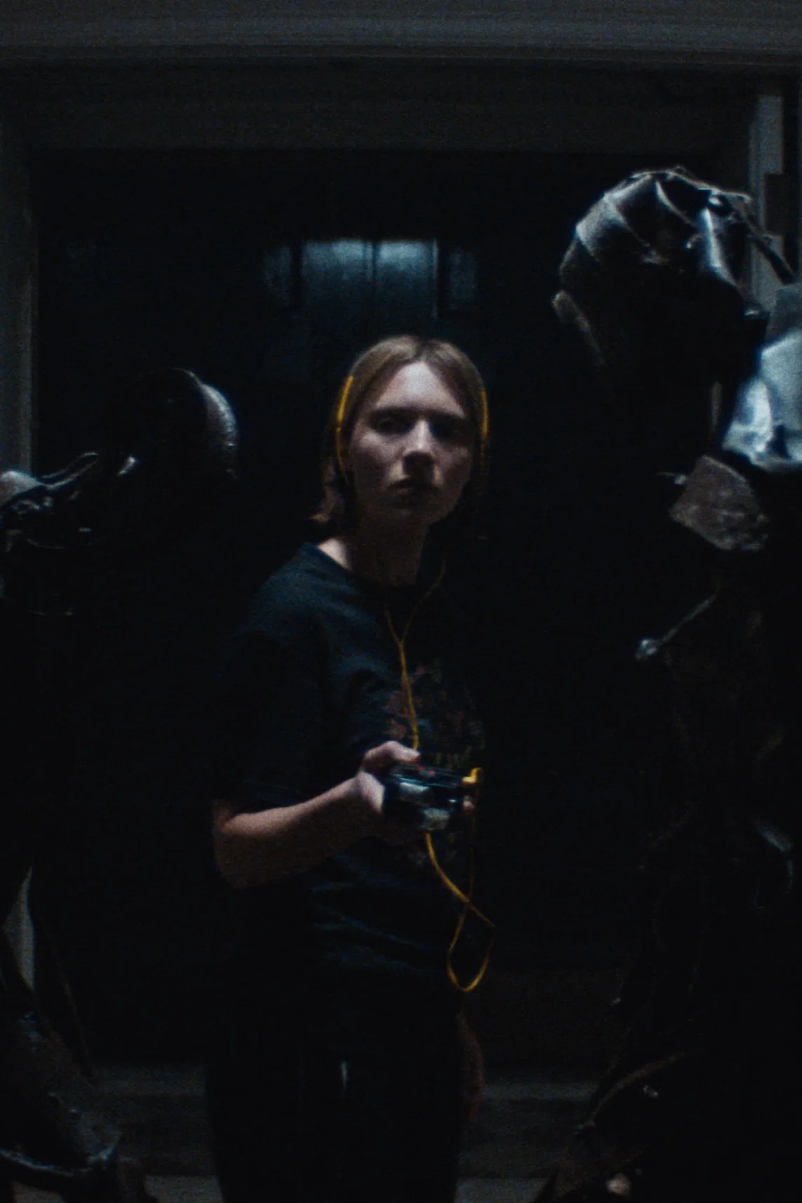 Recluse poster