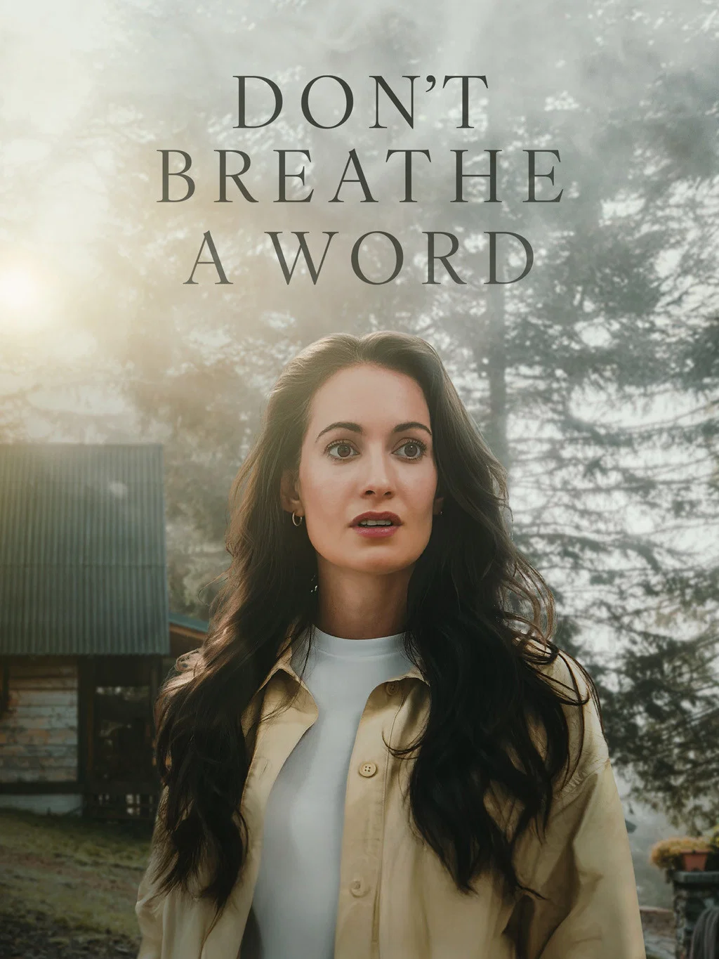 Don't Breathe a Word poster