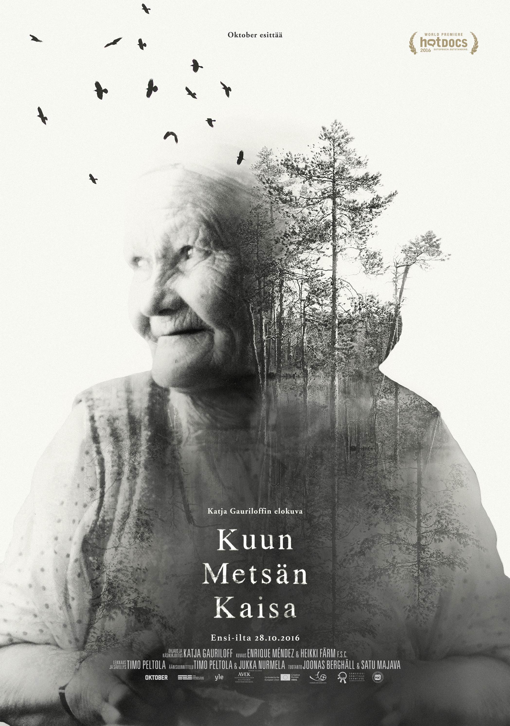 Kaisa's Enchanted Forest poster