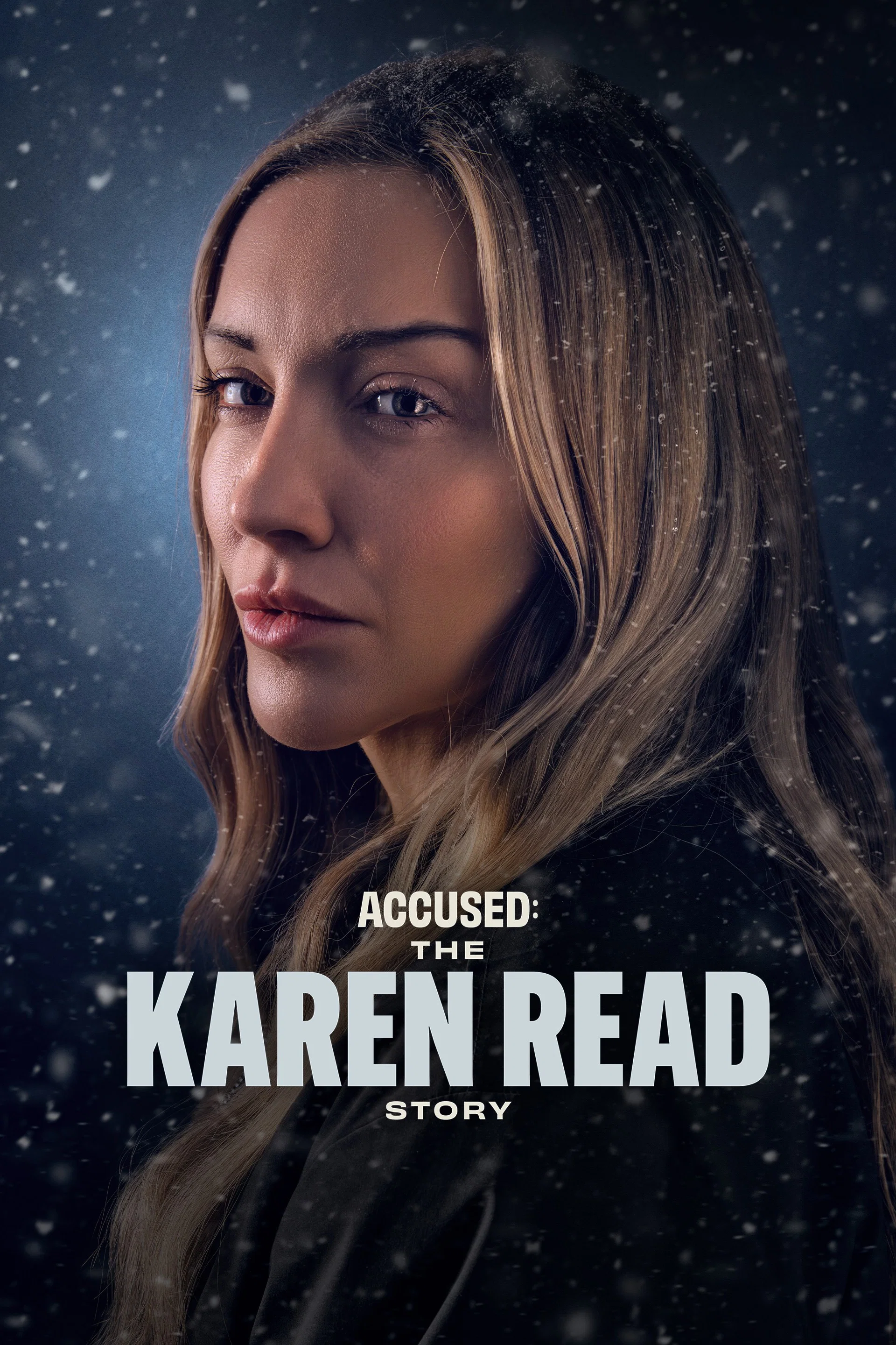 Accused: The Karen Read Story poster