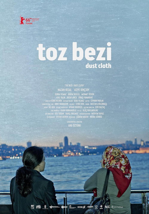 Dust Cloth poster